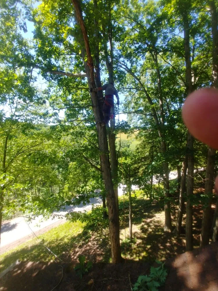 Local yard cleanup service in Washington, PA - Freddyz Lawncare Services