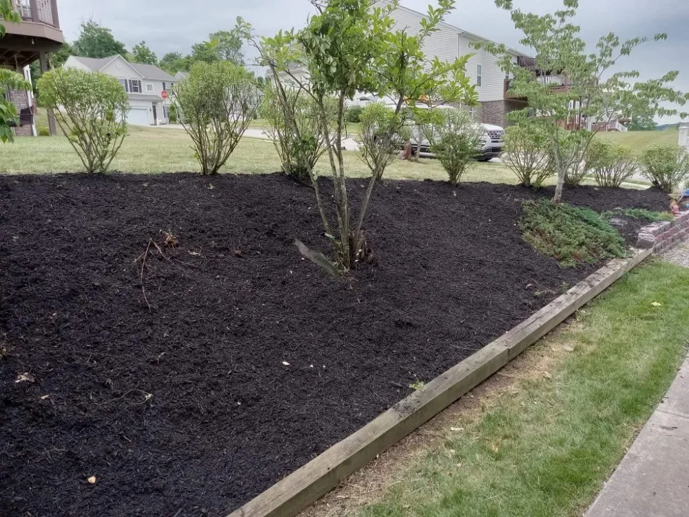 Trusted outdoor landscaping for outdoor upgrades in Washington, PA by Freddyz Lawncare Services