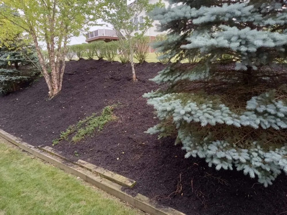 Expert outdoor landscaping in Washington, PA - Freddyz Lawncare Services