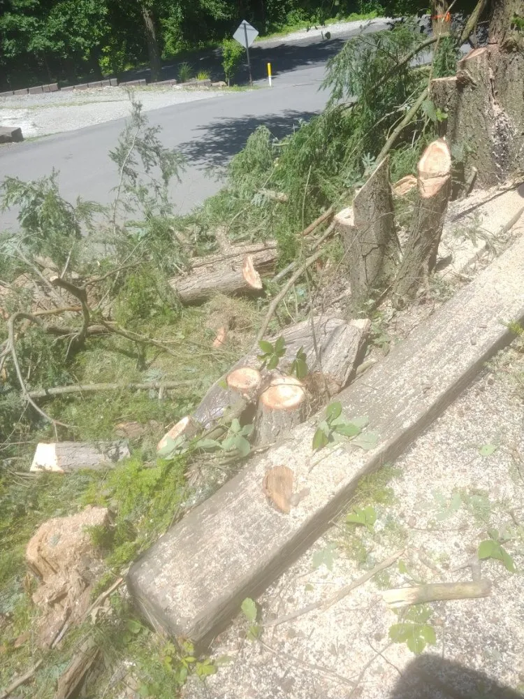 Trusted landscape installation in Washington, PA - Freddyz Lawncare Services