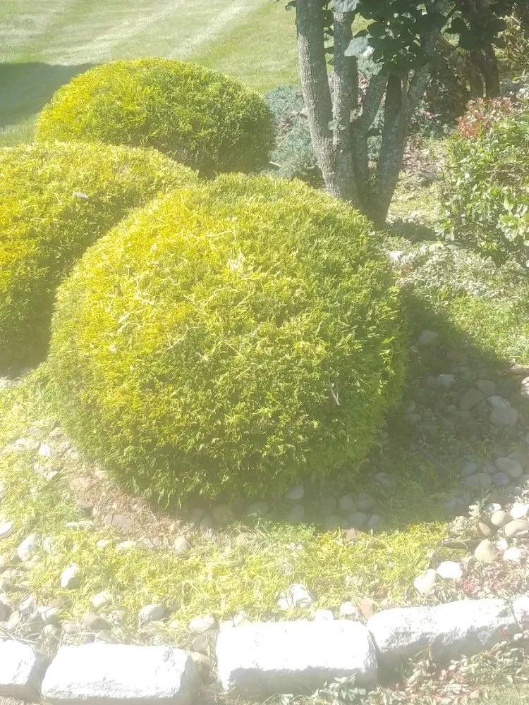 Top-rated outdoor landscaping for outdoor upgrades in Washington, PA by Freddyz Lawncare Services