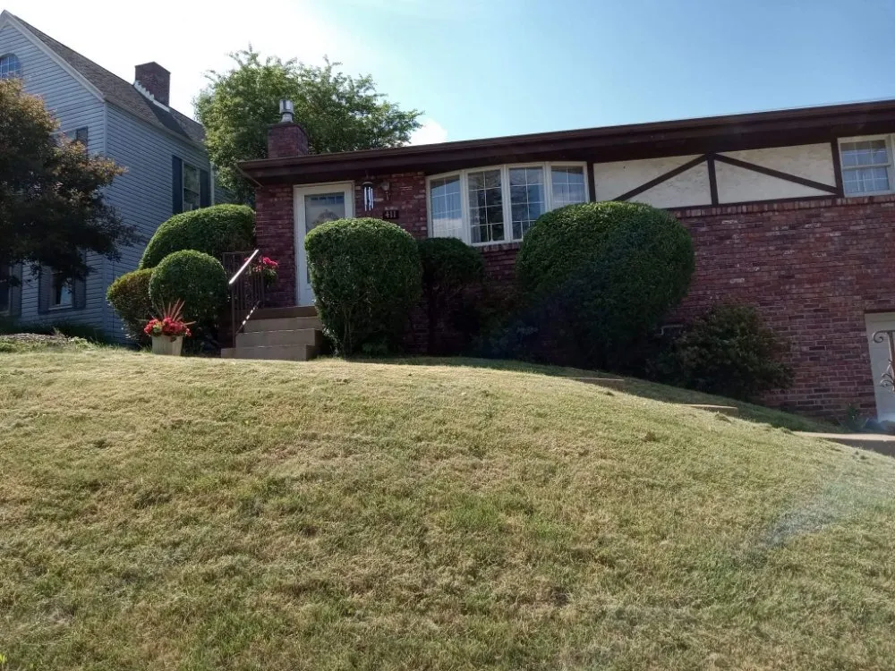 Affordable lawn care service for residential properties in Washington, PA by Freddyz Lawncare Services