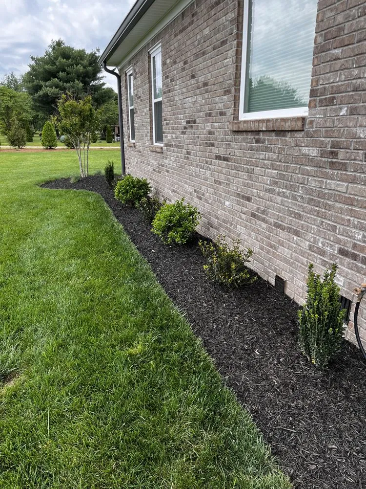 Affordable lawn care service for beautiful yards across Columbia, TN - Frederick Lawn Care