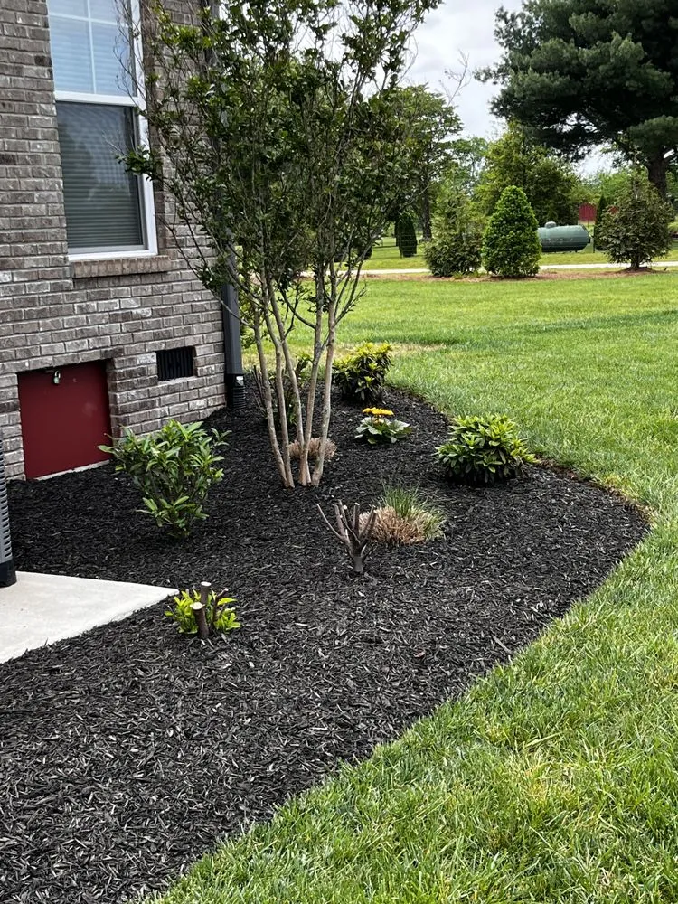 Top-rated landscaping services in Columbia, TN by Frederick Lawn Care