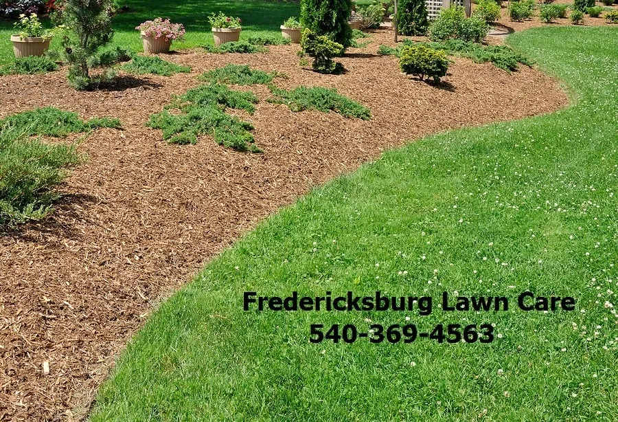 Professional yard cleanup service in Fredericksburg, VA by Fredericksburg Lawn Care