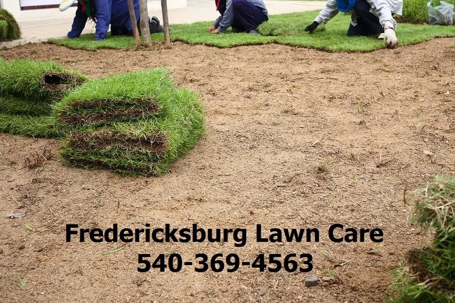 Reliable outdoor landscaping in Fredericksburg, VA - Fredericksburg Lawn Care