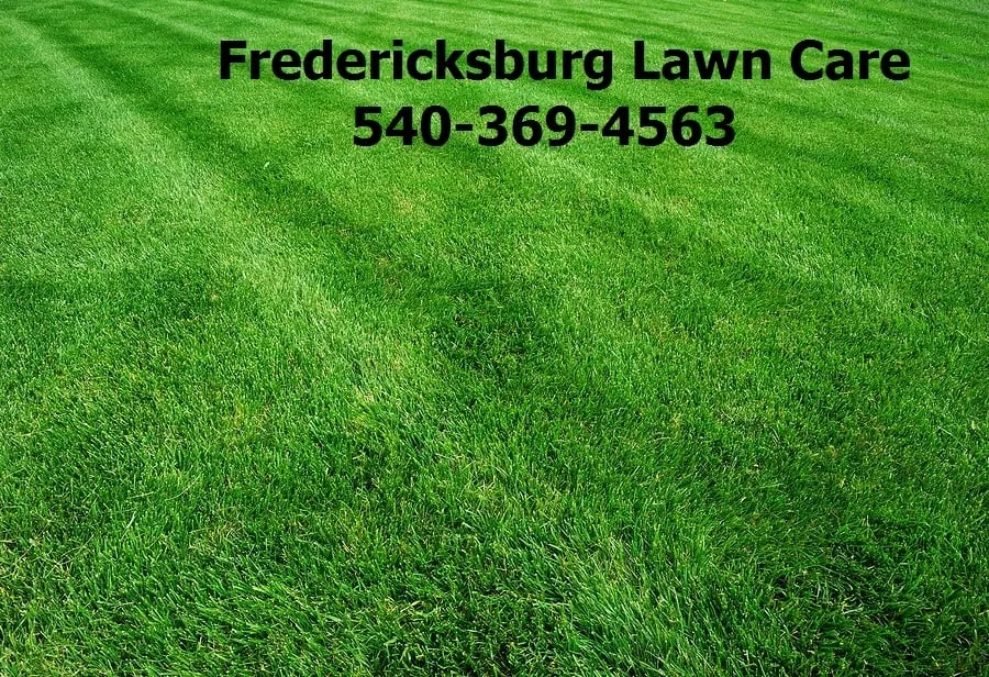 Local outdoor landscaping experts serving Fredericksburg, VA - Fredericksburg Lawn Care