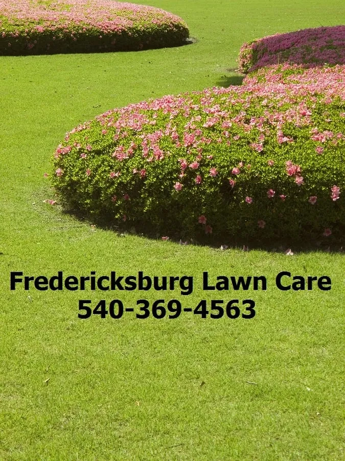Professional garden landscaping in Fredericksburg, VA - Fredericksburg Lawn Care