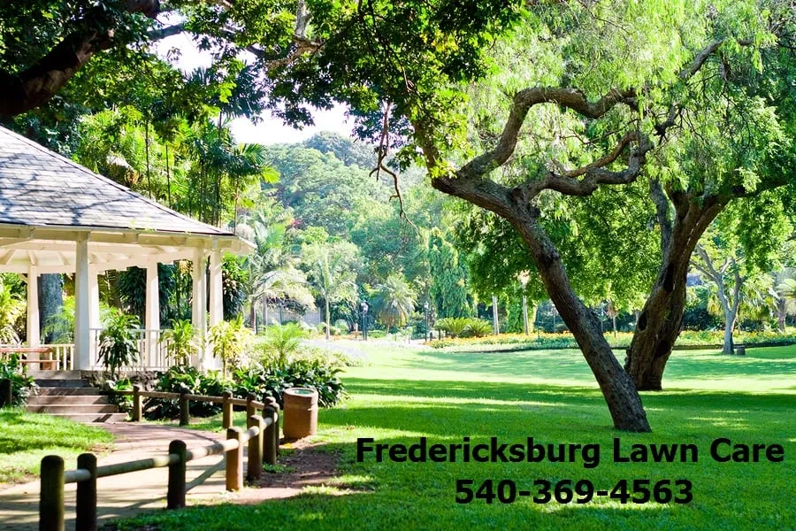 Local lawn mowing service near you across Fredericksburg, VA - Fredericksburg Lawn Care
