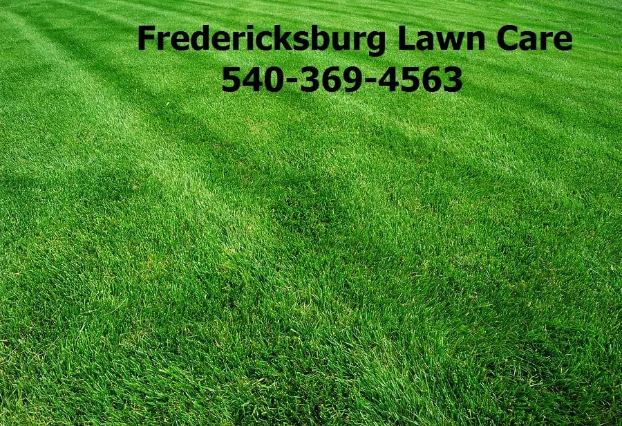 Professional residential landscaping in Fredericksburg, VA by Fredericksburg Lawn Care