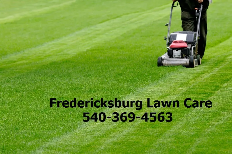 Top-rated landscape design in Fredericksburg, VA by Fredericksburg Lawn Care