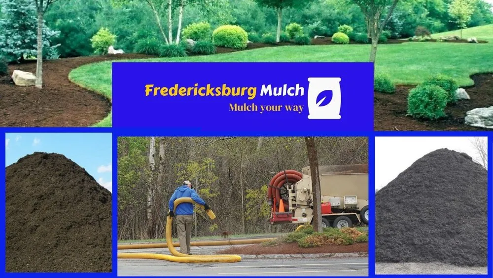 Trusted lawn care service for year-round maintenance in Fredericksburg, VA by Fredericksburg Mulch
