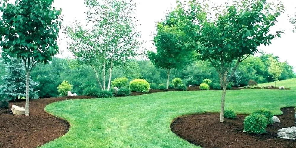 Professional yard maintenance with custom design in Fredericksburg, VA by Fredericksburg Mulch