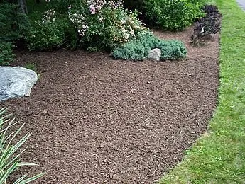 Trusted yard maintenance in Fredericksburg, VA by Fredericksburg Mulch