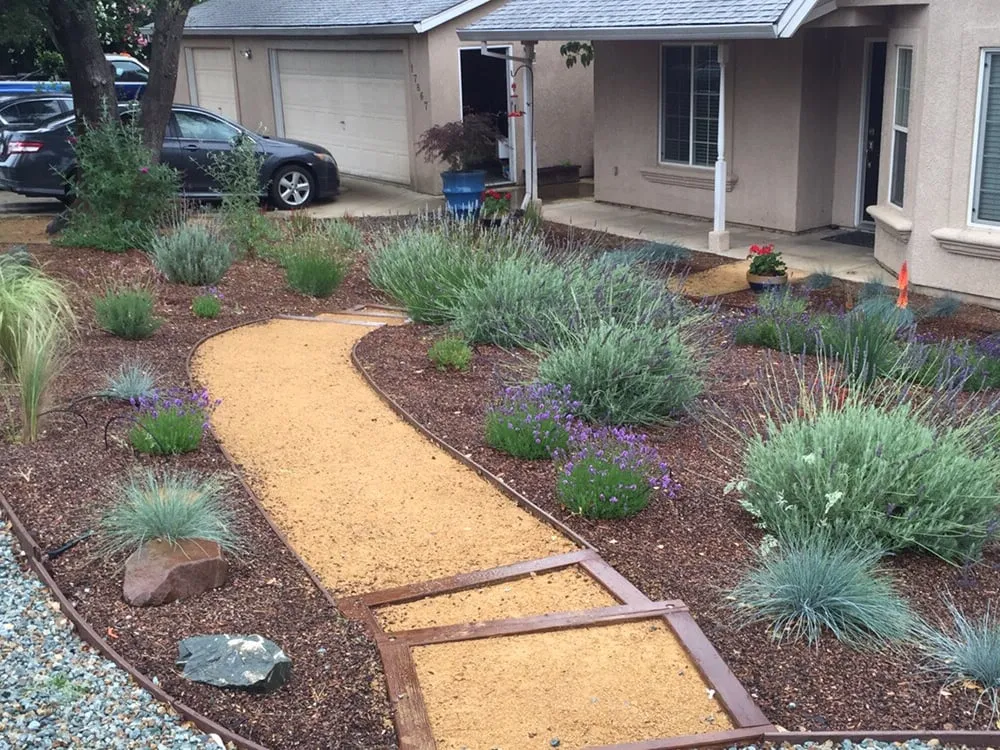 Trusted residential landscaping experts serving Corning, CA - Frederic's Landscape & Tree Service