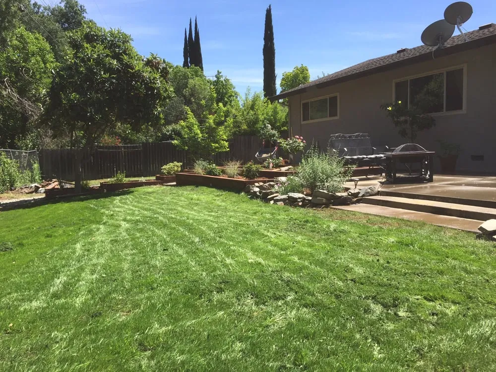 Top-rated residential landscaping in Corning, CA by Frederic's Landscape & Tree Service
