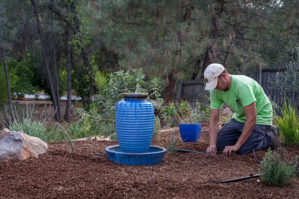 Reliable landscaping services for residential properties in Corning, CA by Frederic's Landscape & Tree Service
