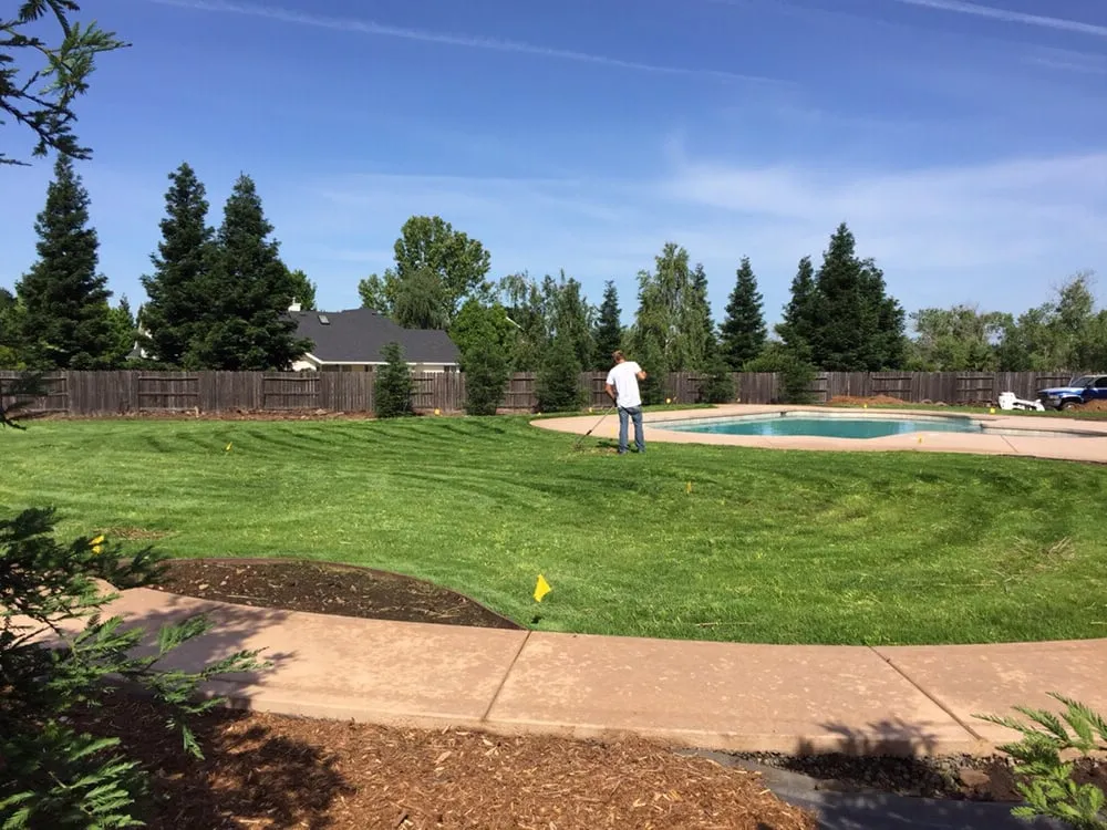 Top-rated landscaping services in Corning, CA by Frederic's Landscape & Tree Service