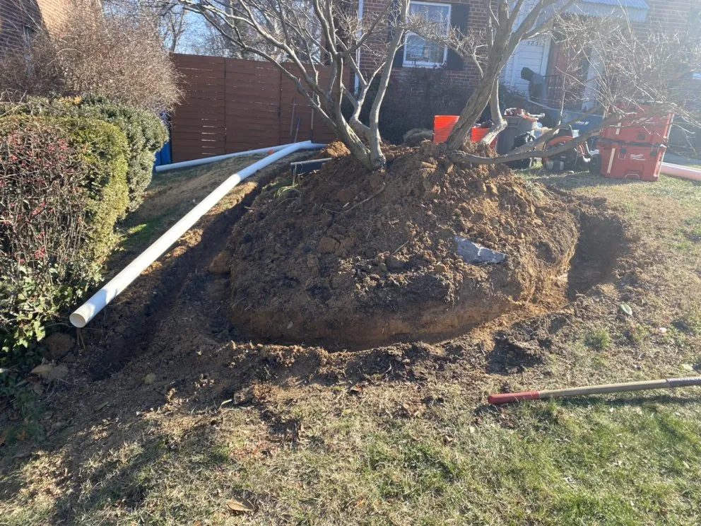 Top-rated yard maintenance in Lanham, MD - Fredos Landscaping