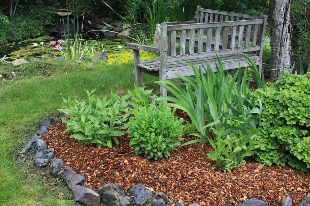 Top-rated landscaping services experts serving Dillwyn, VA - Fredo's Services Lawncare & More
