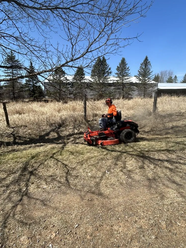 Local yard cleanup service with custom design in Chester, GA by Fredrick’s Lawn Care and Snow Plowing
