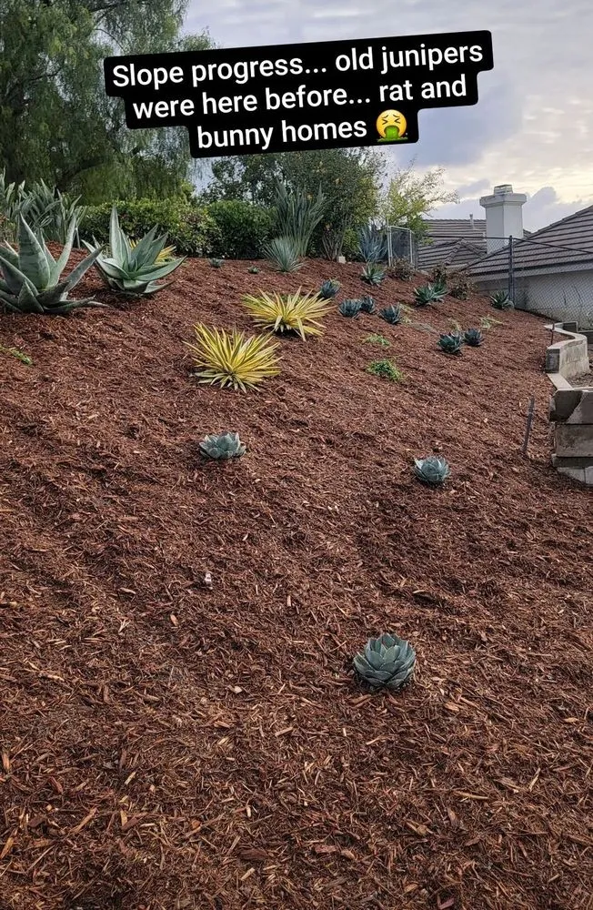 Reliable garden landscaping experts serving Oceanside, CA - Fredrickson Landscape Inc