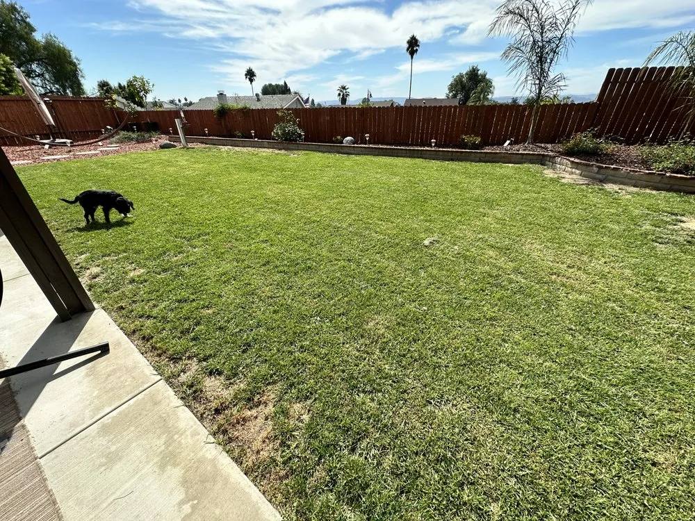 Expert landscape design in Oceanside, CA by Fredrickson Landscape Inc