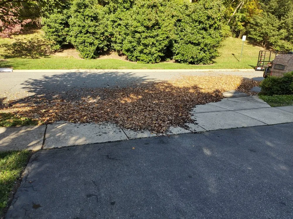 Expert landscape design experts serving Germantown, MD - Fred's Landscaping