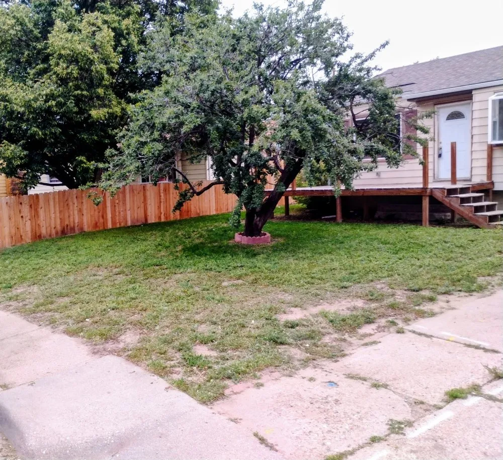 Affordable landscape design for year-round maintenance in Cheyenne, WY by Fred's Lawn Care