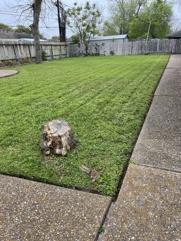 Professional landscape installation in Corpus Christi, TX - Fred’s lawn care