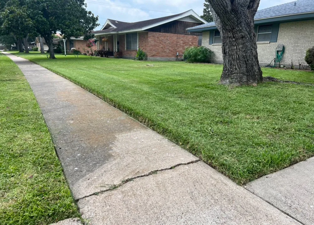Affordable outdoor landscaping for year-round maintenance in Corpus Christi, TX by Fred’s lawn care
