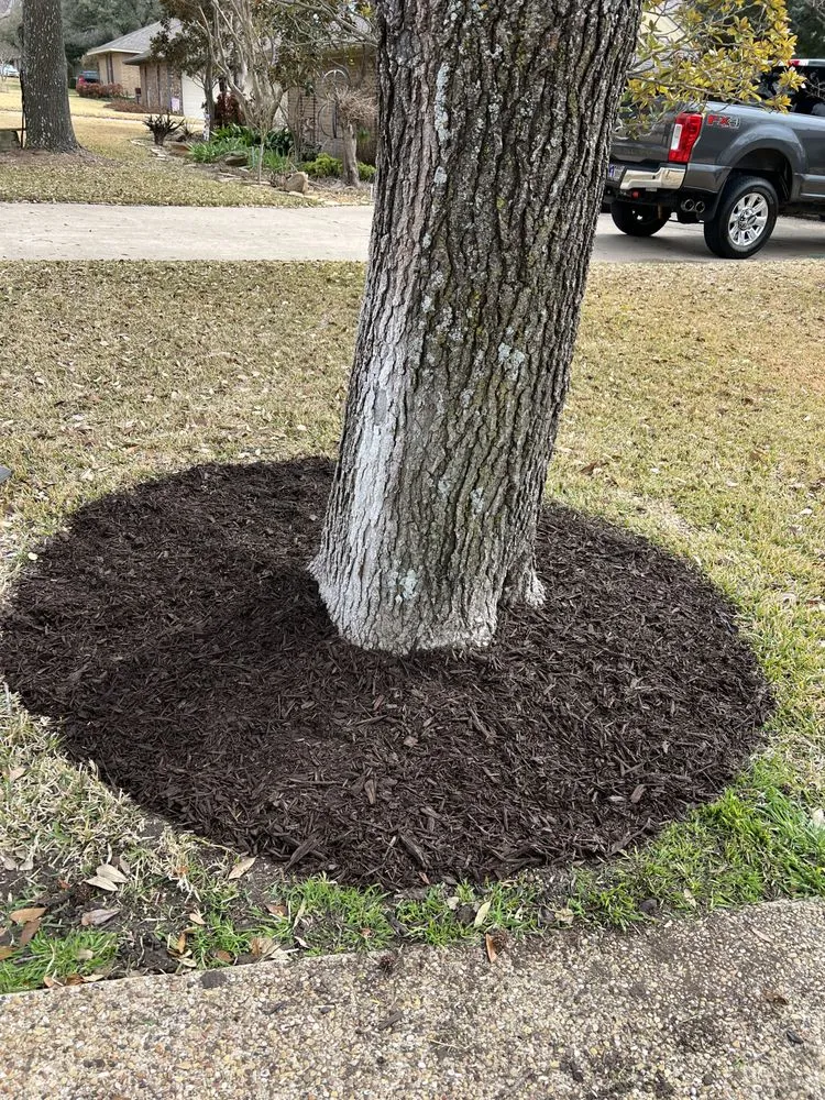 Local landscape design for residential properties in Dallas, TX by Fred's Lawn Care