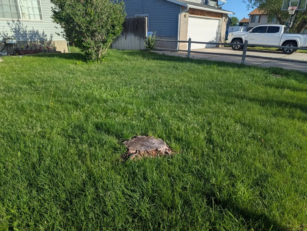 Reliable lawn care service with custom design in Morgan, UT by Freds Tree and Landscape Service