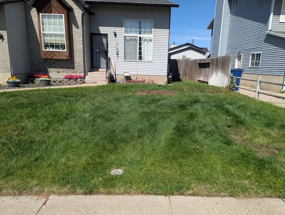 Expert landscape installation for outdoor upgrades in Morgan, UT by Freds Tree and Landscape Service