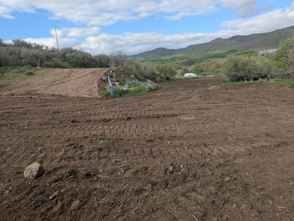 Professional outdoor landscaping for beautiful yards in Morgan, UT by Freds Tree and Landscape Service