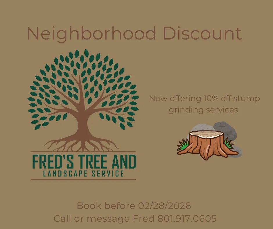 Expert landscaping services for year-round maintenance across Morgan, UT - Freds Tree and Landscape Service