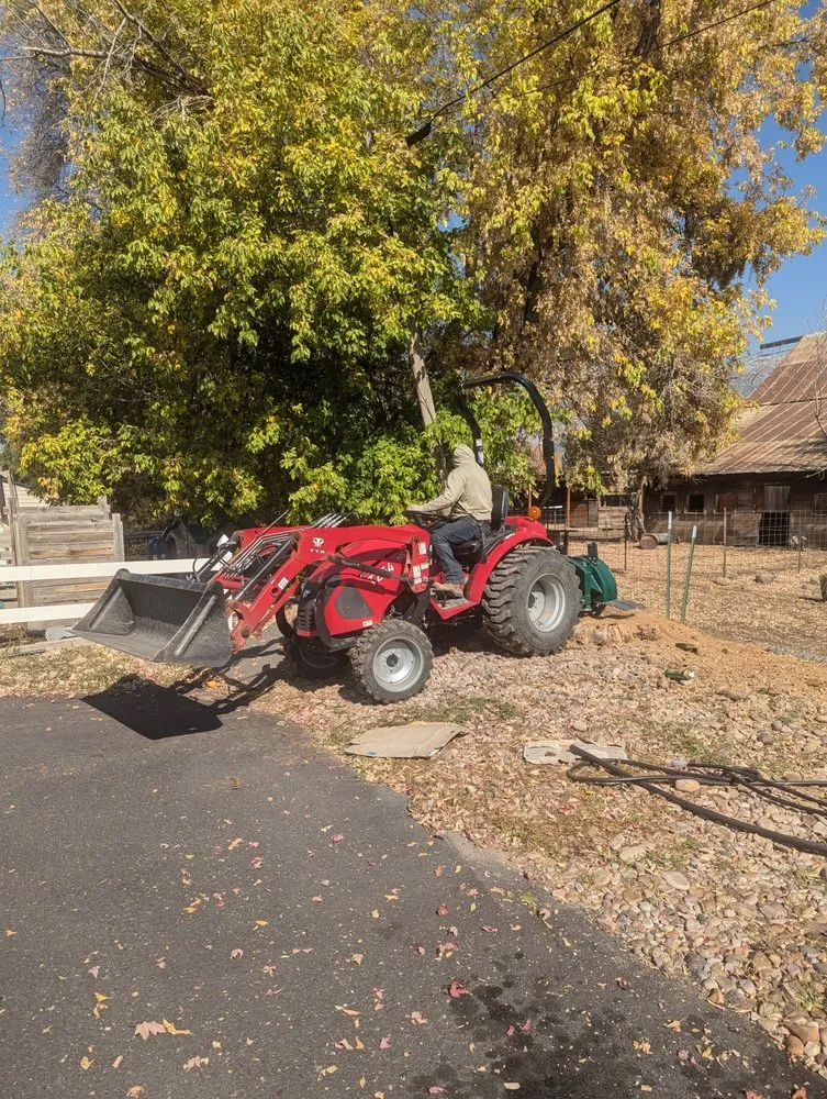 Professional yard cleanup service experts serving Morgan, UT - Freds Tree and Landscape Service