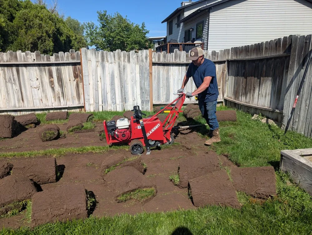 Top-rated yard cleanup service experts serving Morgan, UT - Freds Tree and Landscape Service