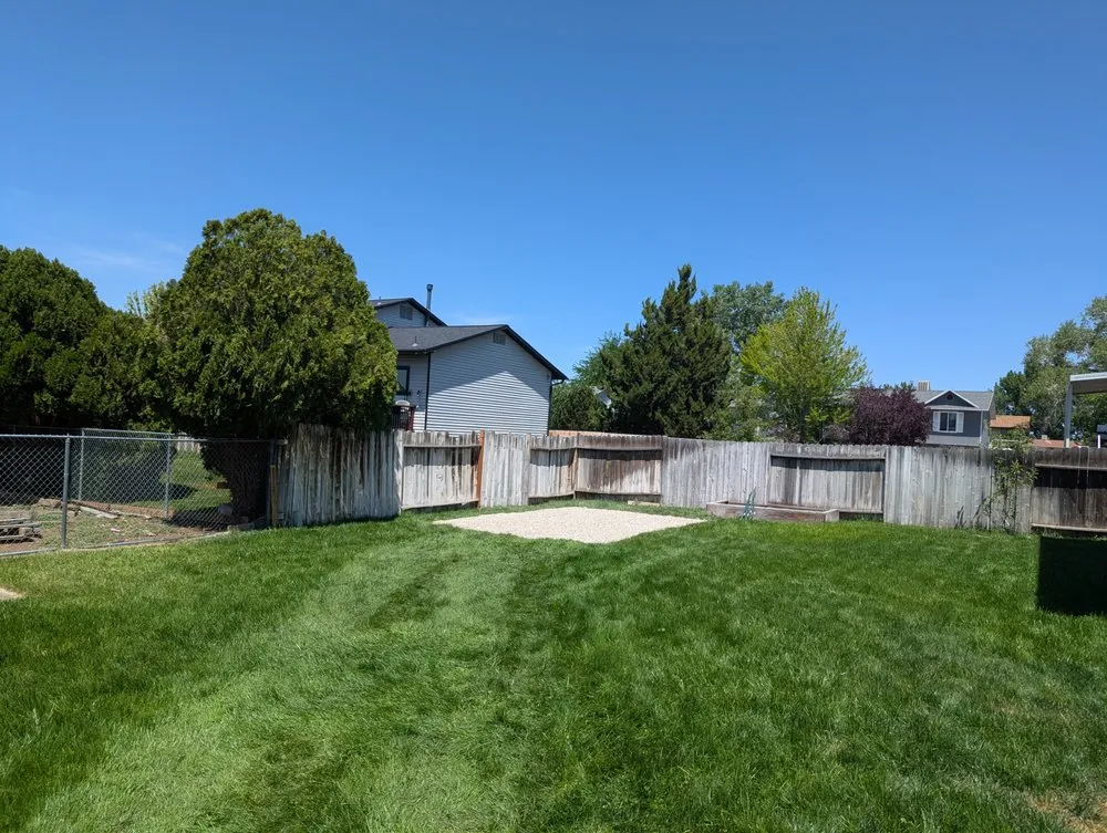 Professional yard cleanup service in Morgan, UT - Freds Tree and Landscape Service