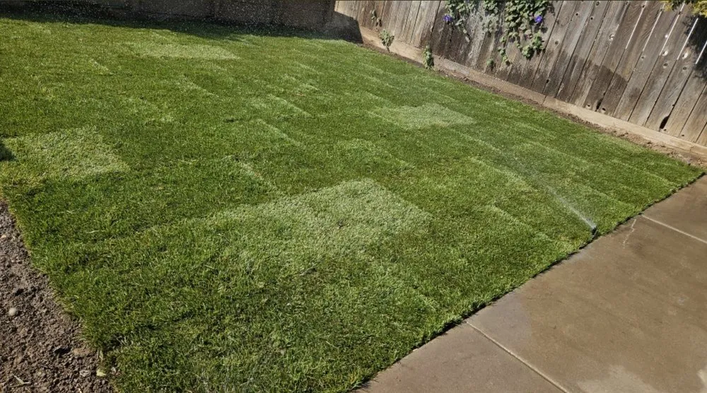 Local outdoor landscaping for beautiful yards across Stockton, CA - Fredy Hernandez Landscaping