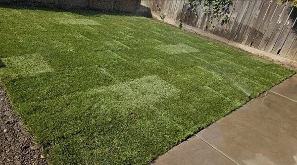 Fredy Hernandez Landscaping Logo