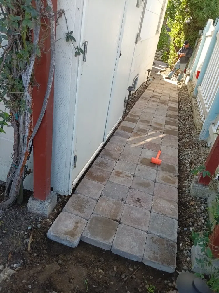 Reliable lawn care service experts serving Harbor City, CA - Fredy Landscape