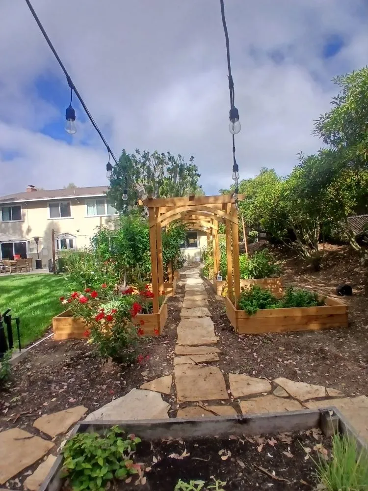 Professional residential landscaping experts serving Harbor City, CA - Fredy Landscape