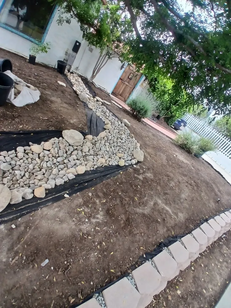 Reliable lawn care service experts serving Harbor City, CA - Fredy Landscape