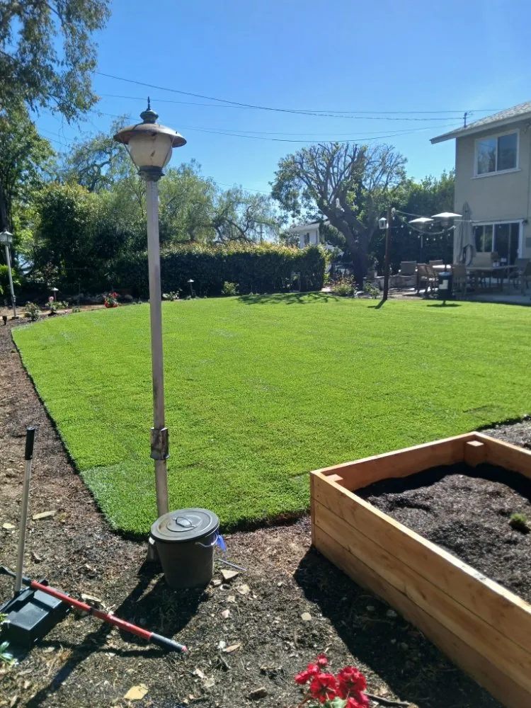 Trusted landscaping services in Harbor City, CA - Fredy Landscape