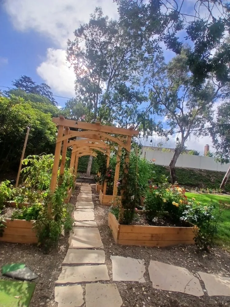 Expert lawn mowing service in Harbor City, CA by Fredy Landscape