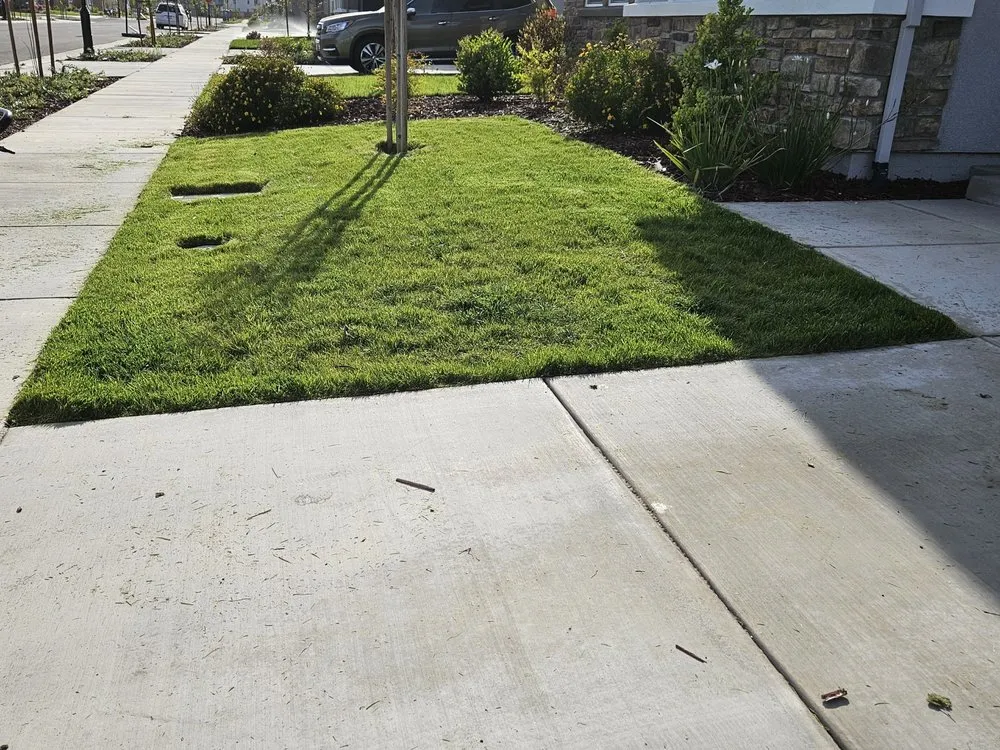 Top-rated outdoor landscaping for year-round maintenance across French Camp, CA - Fredy Landscaping