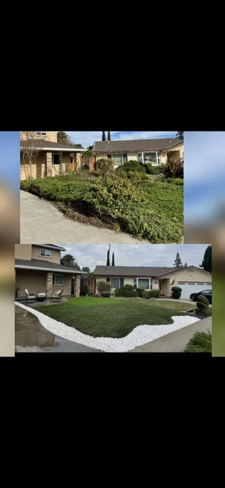 Affordable yard maintenance for year-round maintenance across Hayward, CA - Fredy Martinez Landscaping Maintenance
