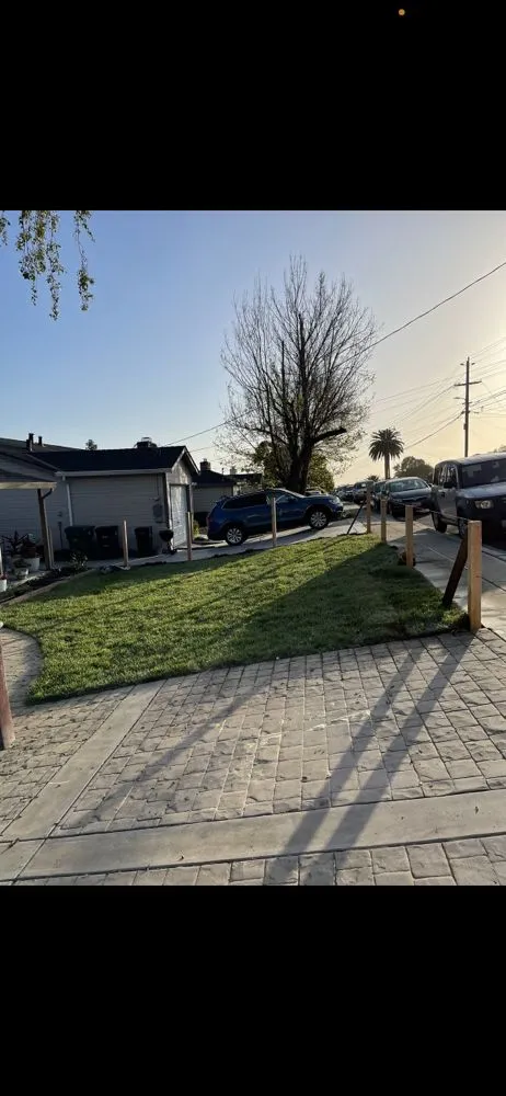 Reliable lawn care service experts serving Hayward, CA - Fredy Martinez Landscaping Maintenance