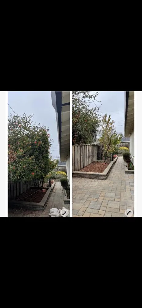 Local landscape installation in Hayward, CA - Fredy Martinez Landscaping Maintenance